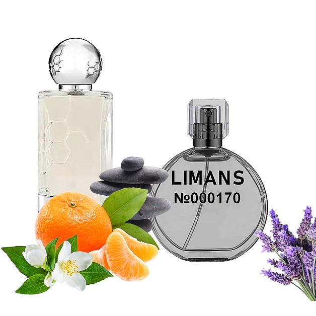 Преміальні парфумовані масла This is Not Gaba Унісекс 35 мл