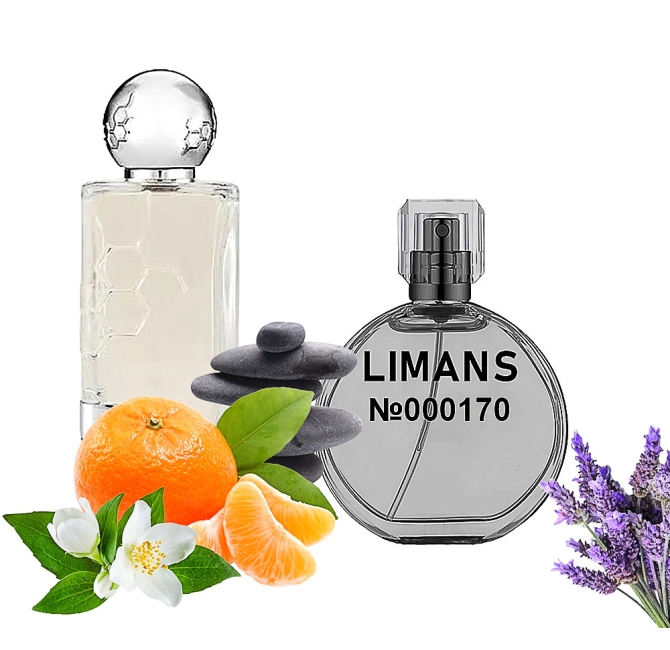 Преміальні парфумовані масла This is Not Gaba Унісекс 35 мл