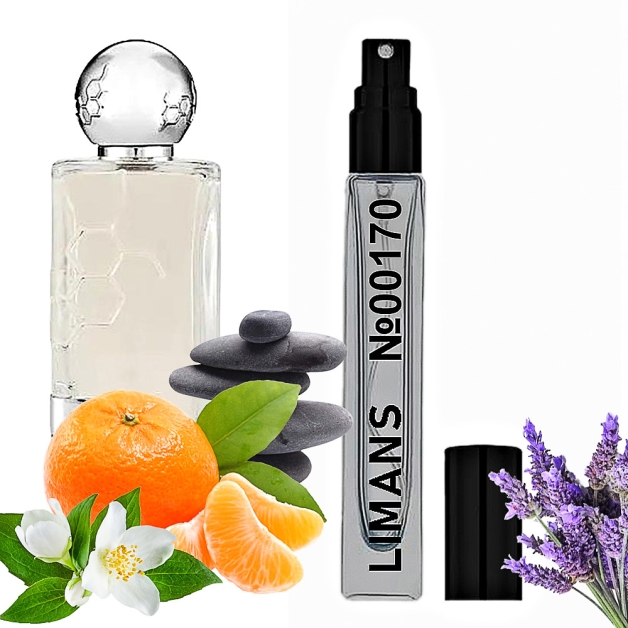 Преміальні парфумовані масла This is Not Gaba Унісекс 10 мл