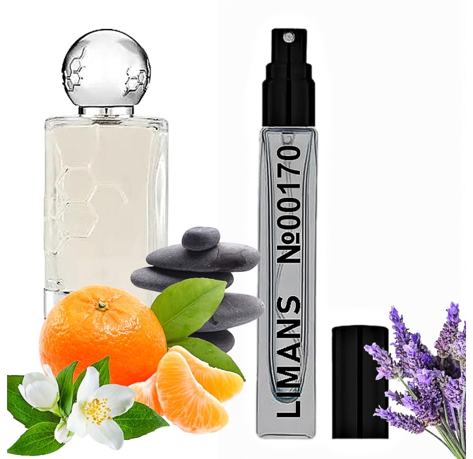 Преміальні парфумовані масла This is Not Gaba Унісекс 10 мл