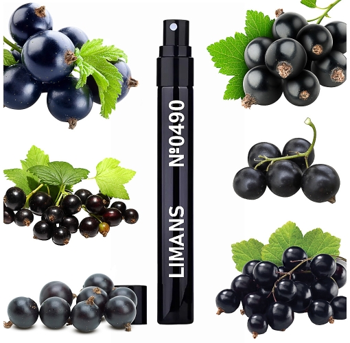 Пробник № 0490 (аромат схожий на Чорна Смородина) Унісекс 5 мл