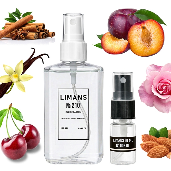 Парфуми № 210 (аромат схожий на Lost Cherry) Унісекс 100 мл